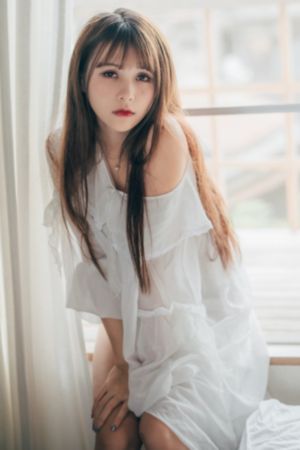文豪野犬第二季免费观看_高清完整版高清视频观看